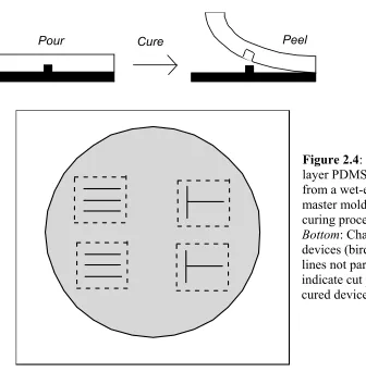 Figure 2.4: Fabrication of one-