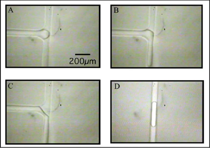 Figure 3.7: Surfactant-free microfluidic crossflow in square T- channel Ebecryl 270 