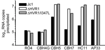 FIG. 11. Deletion of HVR1 causes increased exposure of con-served epitopes. Equal numbers of viruses (normalized to HCV RNA)