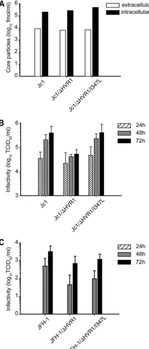 Fig. 4, deletion of HVR1 caused a subtle shift in the electro-