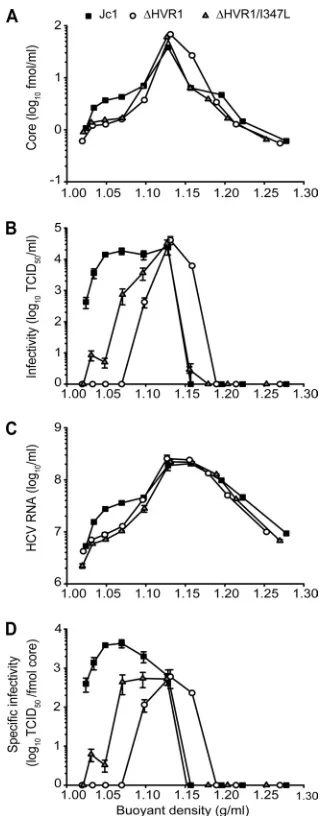 FIG. 6. Buoyant density and speciﬁc infectivity of Jc1, Jc1/�fmol core protein. The results are from a representative of ﬁve inde-and Jc1/after transfection of Huh-7.5 cells and were resolved using an iodixanolstep gradient