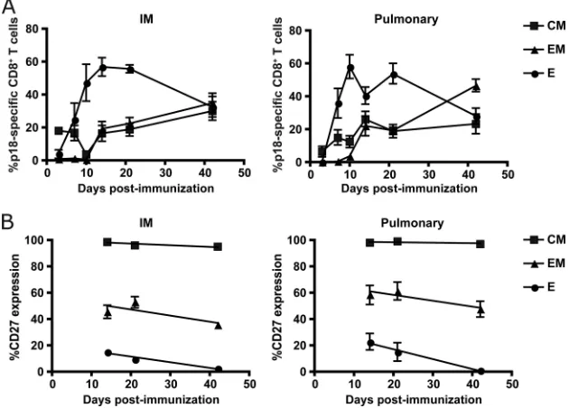 FIG. 2. Kinetics of in vivoexpressing the HIV-1 HXB2 gp120 protein either in solution or complexed to PEI