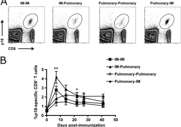 FIG. 7. Kinetics of secondary CD8�inoculation of DNA-gp120 or pulmonary inoculation of DNA-gp120-PEI were boosted by the i.m