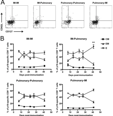 FIG. 8. Kinetics of secondary memory subpopulations of p18-speciﬁc CD8�(A) Representative ﬂow plots display the different p18-speciﬁc CD8boost immunization