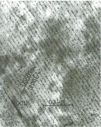 Fig 8 Interphase precipitation in a vanadium microalloy steel 1 