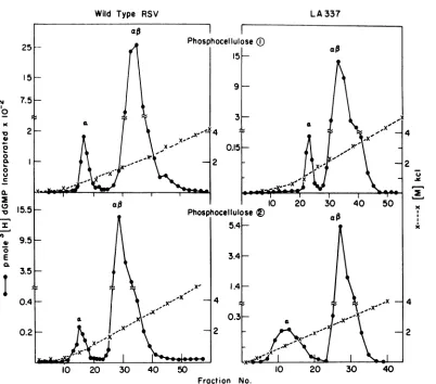 FIG. 1.peakperformedpurificationB,recoverysubstrate.couldcarriedconstitutedOn-70 and Sequential column chromatography of DNA polymerase from wild-type RSVand LA337