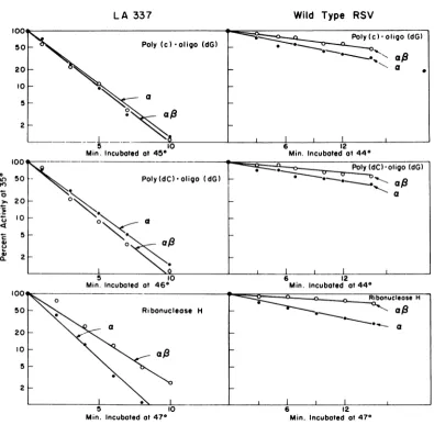 FIG. 4.froma,@ Comparison of thermal inactivation profiles ofDNA polymerase and RNase H activities of a and a#, LA337 and wild-type RSV
