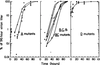 FIG.1.AfteraddedSymbols,V,thawedV, D236 B204; Kinetics of virus appearance on temperature shift to the restrictive temperature in fresh medium
