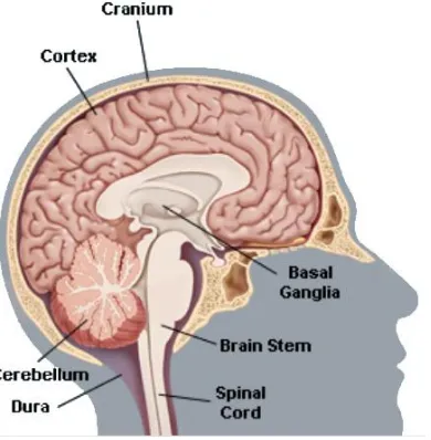 Figure 2.7: 