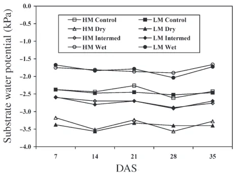 Figure 1. Mean substrate water potential (for measurements taken at0500 and 1400 h) 7, 14, 21, 28, or 35 days after setting (DAS) for ju-venile hardwood stem cuttings of loblolly pine rooted under two misttreatments (high mist (HM) and low mist (LM)) and four substratewater potential treatments (control, dry, intermediate or wet) in Janu-ary 2001 (Experiment 1).