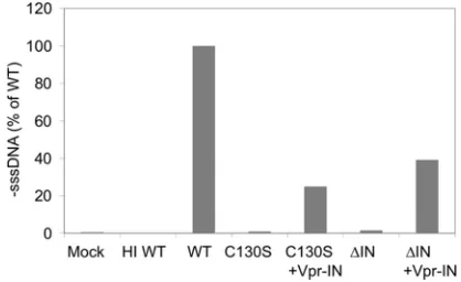 FIG. 1. transdefect of the IN mutants. 293T cells were transfected with pNL-C130S orpNL-�days posttransfection, viruses were collected from the culture media andequal amounts of p24-equivalent of each virus were used to infect CEM-GFP cells
