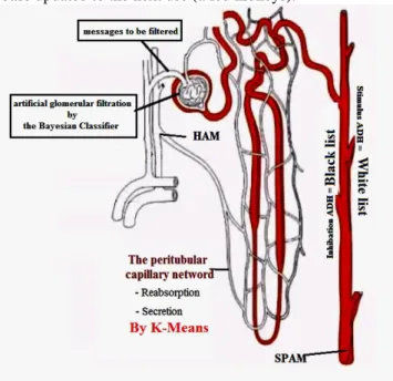 Fig. 2. artificial model vs. natural model  