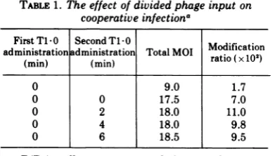 TABLE 1. The effect of divided phage input oncooperative infectiona