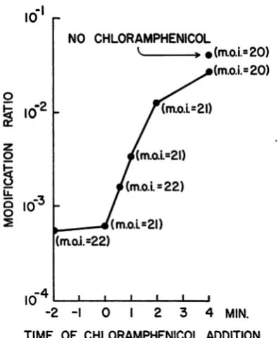 TABLE 2. The effect of Tl tails and Ti ghosts on cooperative infection of E. coli B(P1 )a