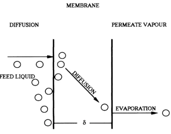 Figure 1. Solution-Diffusion model. 