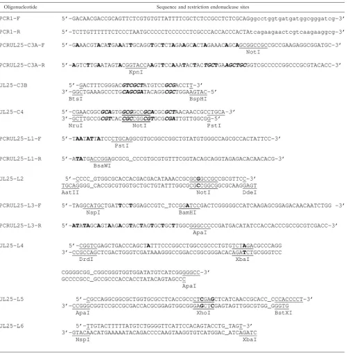 TABLE 1. Oligonucleotides used for generation of �UL25MO and mutated UL25 genesa