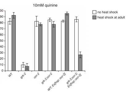 FIGURE S2.–OCR-2 function in adulthood contributes to the defective quinine avoidance response of grk-2a heat shock inducible promoter (STRINGHAM et al