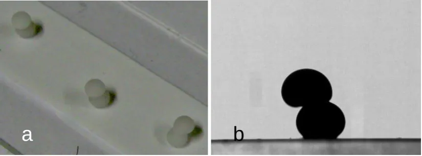 Figure 4. Jammed drop stacks on a PTFE surface, several days after the experiment (a) and a few 