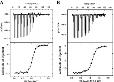 TABLE 1. Thermodynamic parameters of the association of peptide 2F5ep (656NEQELLELDKWASLWN671) with wild-type 2F5 Fab andCDR H3 apex mutantsa