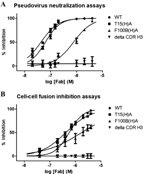 FIG. 3. Neutralization and cell-cell fusion inhibition assays wereperformed with the different 2F5 Fab constructs