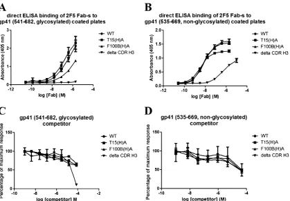 FIG. 4. Direct and competitive ELISAs measuring the binding of recombinant 2F5 Fab constructs to two gp41 constructs were performed.(A) Direct ELISAs of the binding of the 2F5 Fab constructs to a glycosylated gp41 construct spanning residues 541 to 682 were performed.