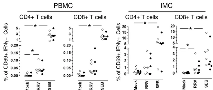 FIG. 7. Circulating and intestinal B cells are not critical antigen-presenting cells for RV-speciﬁc T cells