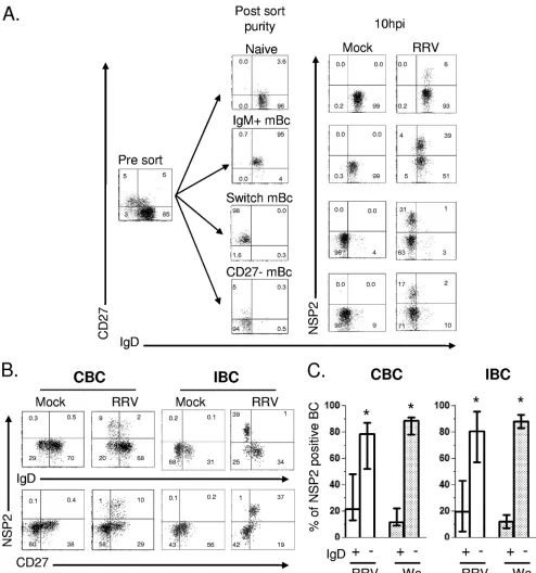 FIG. 2. RV replication is highly restricted to mBC. (A) Flow cytometry assay to detect the frequency of RV-infected cells in sort-puriﬁedsubsets of B cells