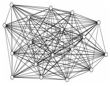 Figure 3. Fully connected WSN. 