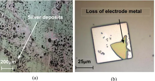 Fig. 3. (a) Silver deposits on the surface of the top insulator of the benchmarkdevice after it was cycled between +0.5V and −0.5V for 10-15 minutes.(b) A microsquare electrode on a benchmark device, where a section of metalhas detached after cycling for 5-10 minutes between +0.5V and −0.5V.