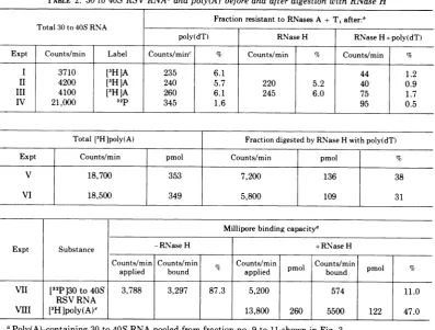 TABLE 2. 30 to 40S RSV RNAa and poly(A) before and after digestion with RNase H