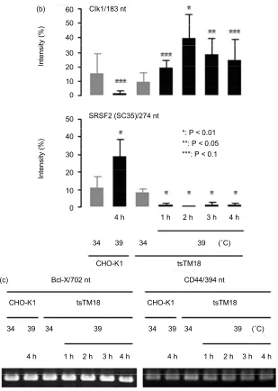 Figure 2. Temperature-sensitive (ts) defect of Smu1 affects alternative splicing. (a) changes in expression of tsTM18 cells