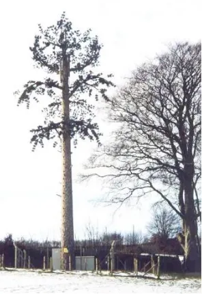 Figure 2.2. Orange Cellular’s tree base station in Somerset, UK, 1999. 