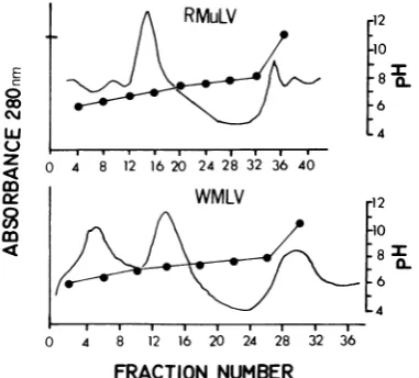 FIG.FRACTIONWMLV 4. Isoelectric after disruption