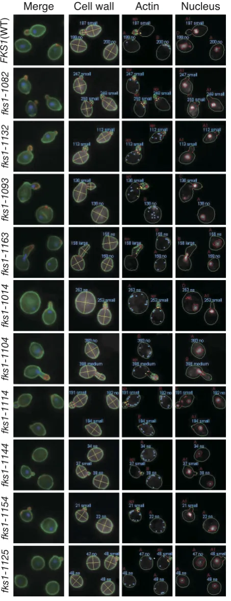 FIGURE S2 (H. Okada et al.)