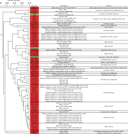 FIGURE S3 (H. Okada et al.) 
