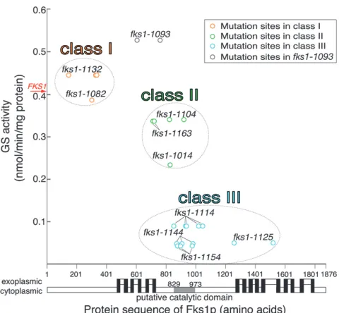 Figure 1A. We searched for morphological parameters