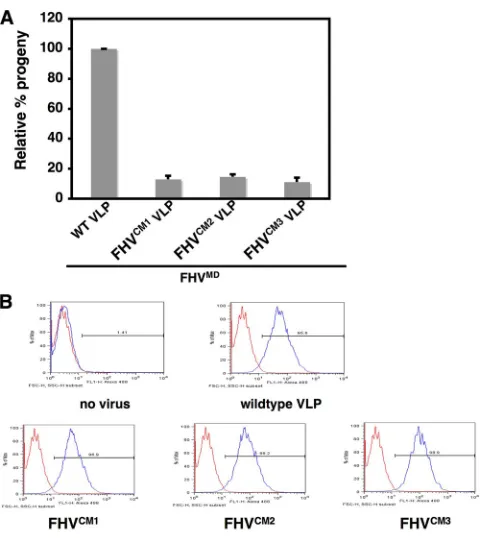 FIG. 5. Calcium-site-mutated VLPs bind to DL-1 cells but cannotrescue the infectivity of maturation-defective FHV