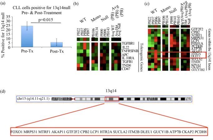 Figure 1. Clinical and molecular characteristics of CLL patients with 13q14 nullisomy: (a) The was performed using Cluster 3.0 and Treeview software; (c) GEP of genes at the 13q14 locus among CLL patients who are WT, have a heterozygous deletion, or with a