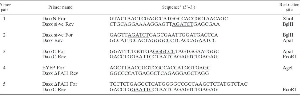 TABLE 2. Nomenclature for HepaRG-derived cell lines generated by lentiviral transduction