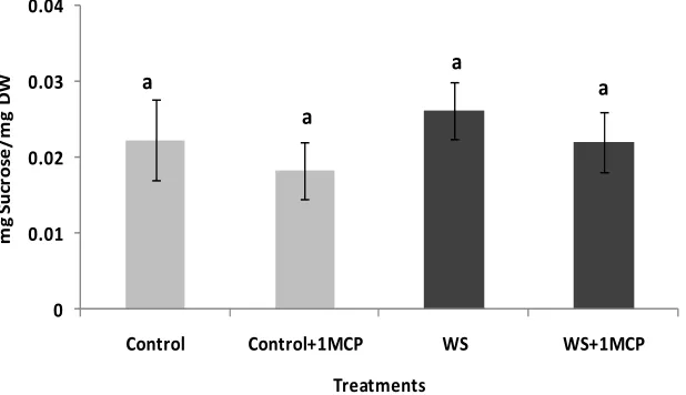 Figure 3. Effect of water-deficit stress and 1-MCP application on leaf respiration 4 days after induction of stress
