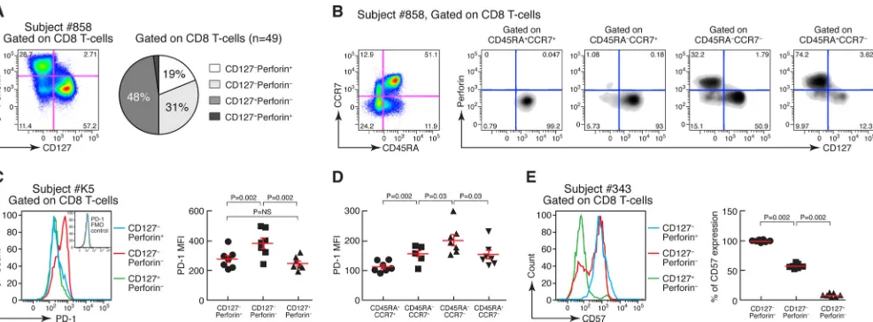 FIG. 3. Combination of CD127 and perforin expression, association with T-cell differentiation, and PD-1 and CD57 expression