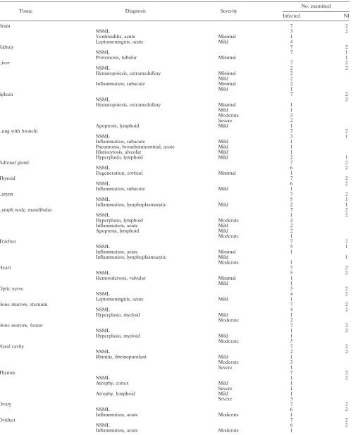 TABLE 2. Tissue necropsy report for MPXV-infected C57BL/6 stat1�/� micea