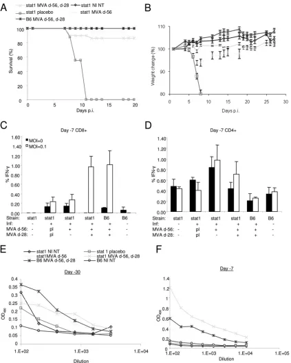 FIG. 4. Protection of single and double MVA-vaccinated male and female stat1d-56, d-28; stat1 NI NT; stat1 placebo; stat1 MVA d-56; and B6 MVA d-56, d-28, respectively)