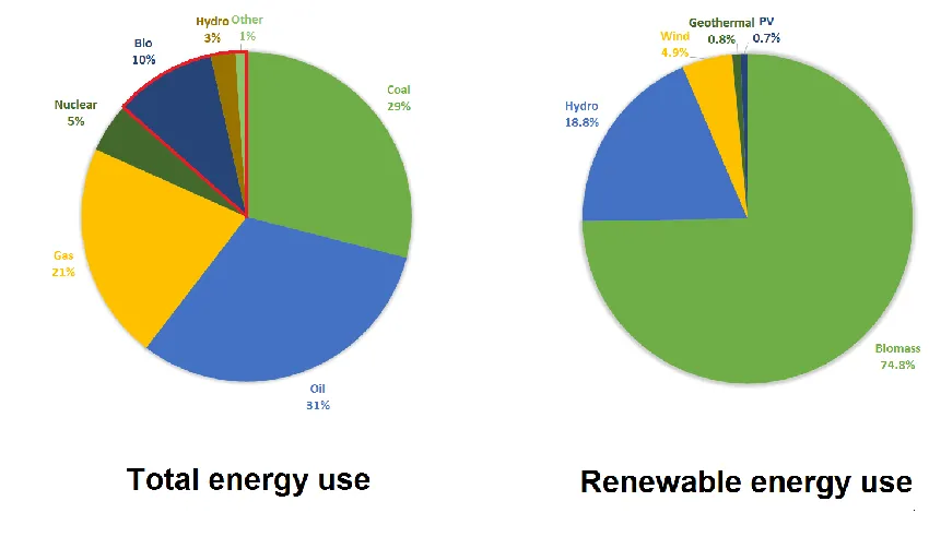 Figure 1.1: Distribution of total energy use and renewable energy use by source. The red line highlights renewable 