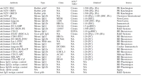 TABLE 2. Antibodies used in this study