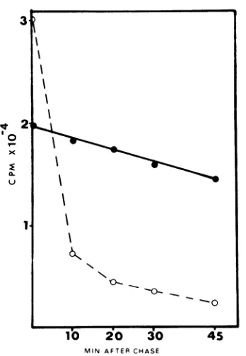 TABLE 2.nonpermissive Distribution of G protein synthesized at temperature in different cytoplasmic