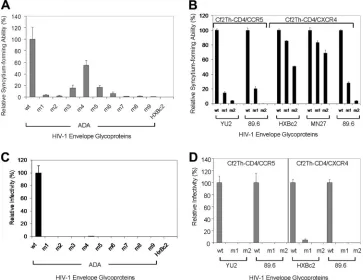 FIG. 2. Syncytium-forming activity and ability of V3 insertion mutants to support HIV-1 infection
