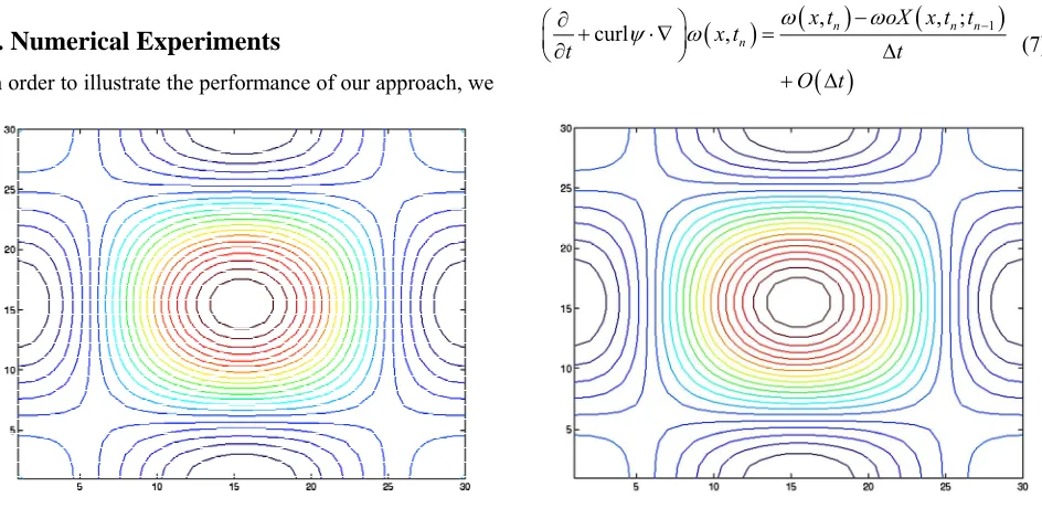 Figure 1. Exact (left) and approximate (right) vorticity contours. 