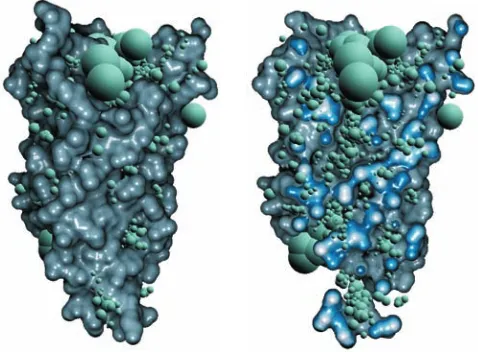 Figure 3: Visualization of cavity samples for a water channel (Aqua-porin) (left). In order to see also the interior samples, we applied animplicit clipping plane (right), introduced later in Section 3.3.1