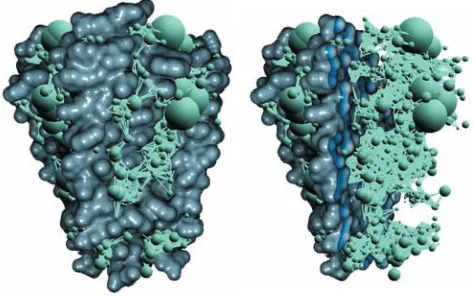 Figure 5: An example of the constructed graph for potassium chan-nel (KCSA, left) with the implicit clipping plane applied (right)